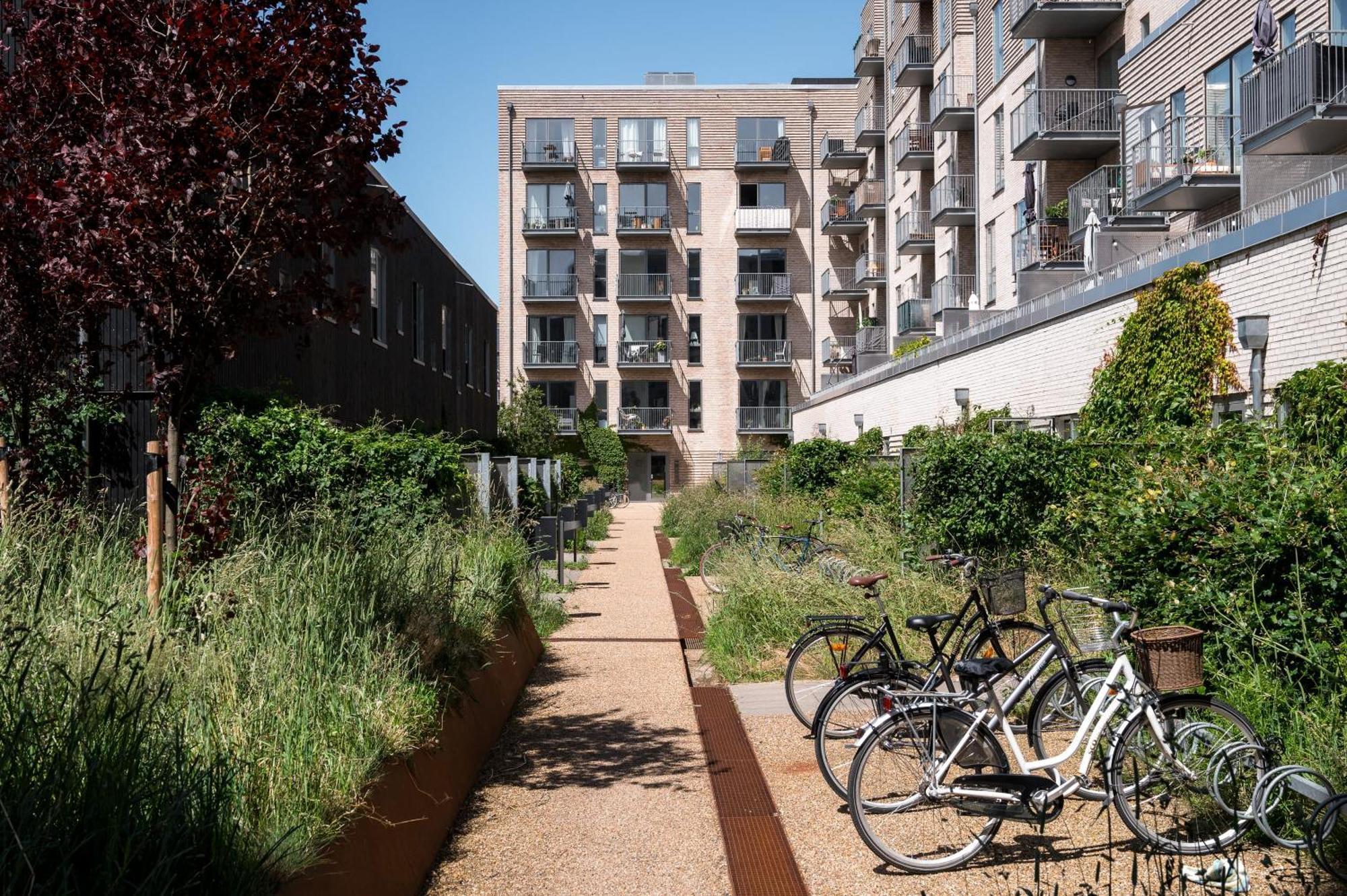 Beach Gardens 46 By Daniel&Jacob'S Kopenhagen Exterior foto